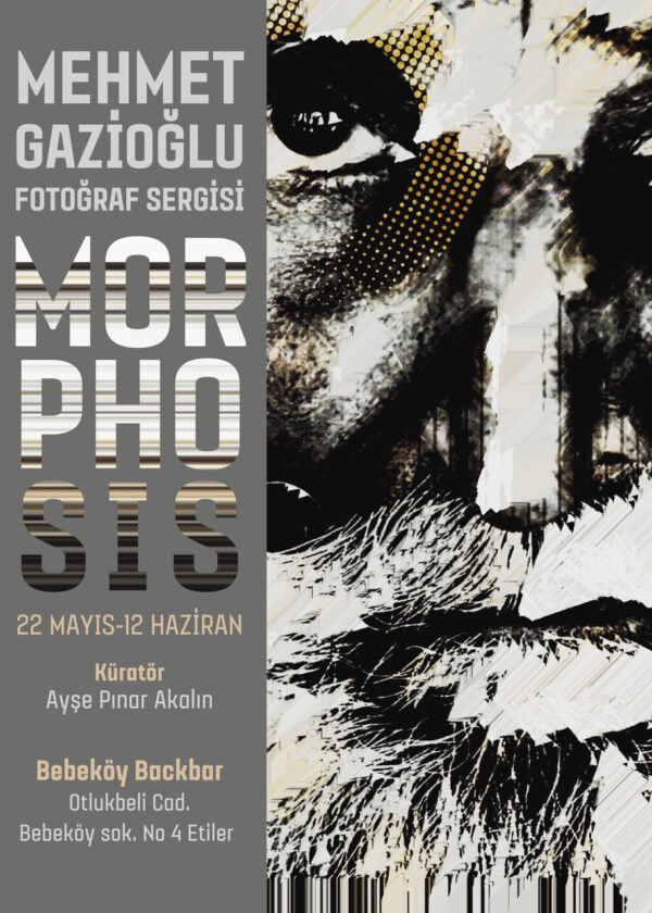 MORPHOSIS